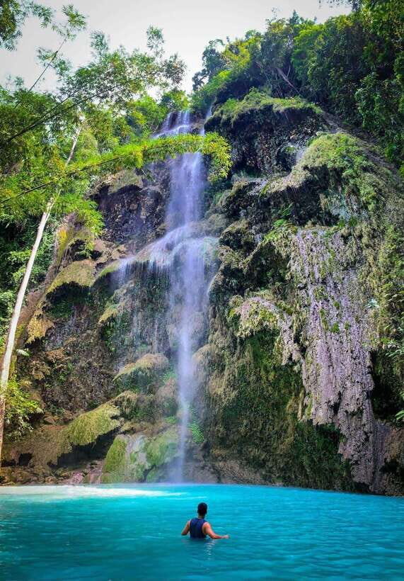 Oslob: Whale Sharks, Tumalog Falls, & Monkey Sanctuary Tour - Detailed Breakdown of the Itinerary