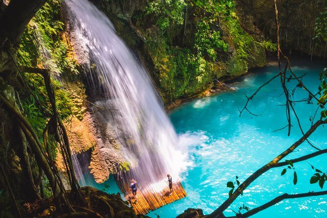Oslob Whaleshark and Kawasan Falls Tour - Price Analysis and Value
