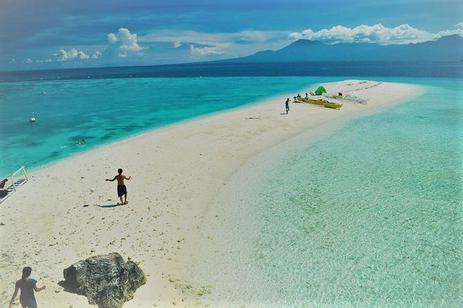 Oslob Whaleshark with Sumilon Island - The Sum Up