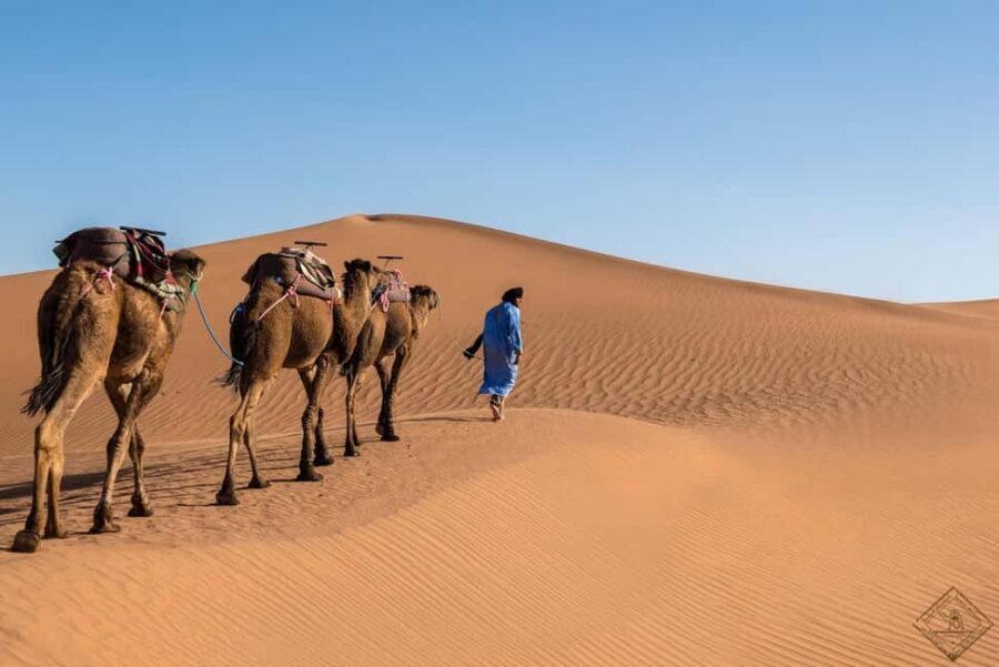 Ouarzazate: 2-Day Chegaga Desert Tour with Camel Ride - What to Bring & Practical Tips