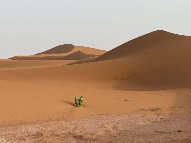 Ouarzazate: Dades Gorges & Rose Valley Day Trip - Authenticity and Traveler Tips