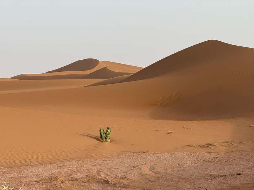 Ouarzazate: Dades Gorges & Rose Valley Day Trip - Authenticity and Traveler Tips