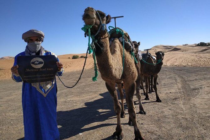 Ouarzazate - Desert - Fes 5 days 4 nights - Day 3: From the Desert to the Historic City of Fes