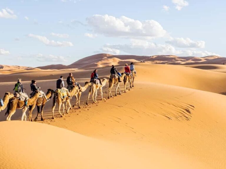 Ouarzazate: Kasbahs, Gorges & Merzouga Desert Trip - 2 days - The Dades Valley and Toudgha Gorges