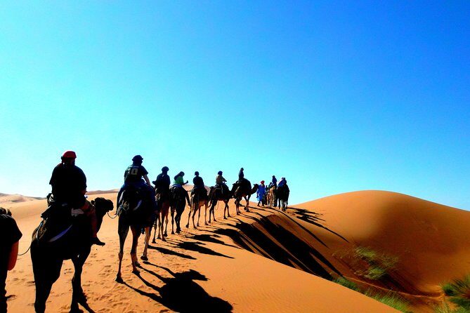 Ouarzazate To Erg Chegaga Dunes & Camel treks in 2 Days - What’s Included and What to Consider