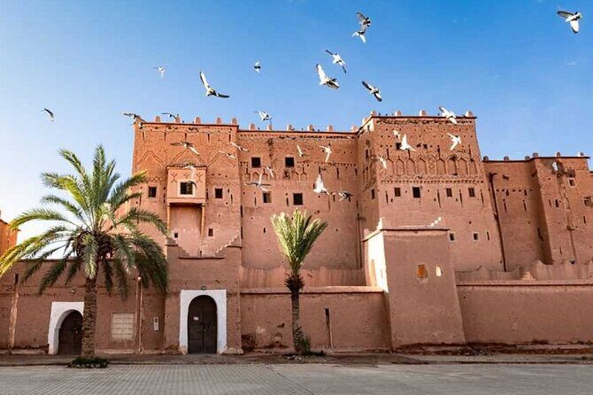 "Ouarzazate to Marrakech: Your Comfortable Private Transfer" - The Reviews: What Travelers Say