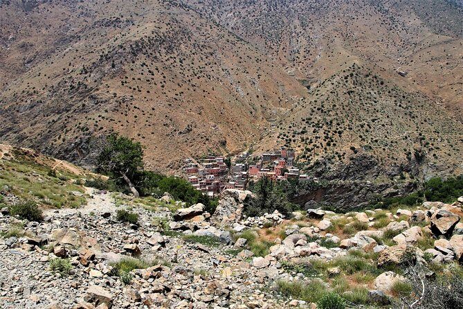Ourika day tour from Marrakech - What Is the Value of This Tour?