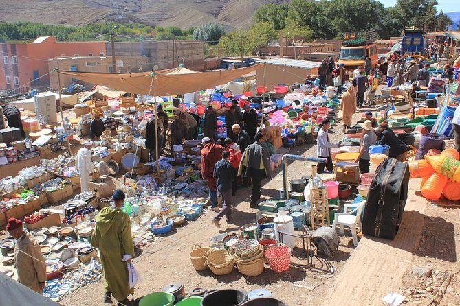 Ourika Marrakesh Day Trip - In-Depth: What Makes This Tour Stand Out