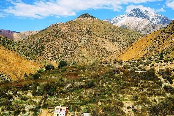 Ourika valley a day trip from Marrakech - An In-depth Look at the Ourika Valley Day Trip
