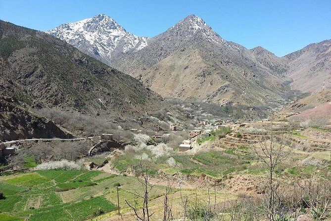 Ourika Valley and Atlas Mountains Full-Day Tour from Marrakech - Detailed Breakdown of the Itinerary