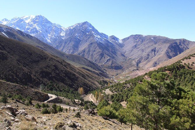 Ourika valley and berber villages day trip with Guide+Lunch - Why This Tour Offers Good Value
