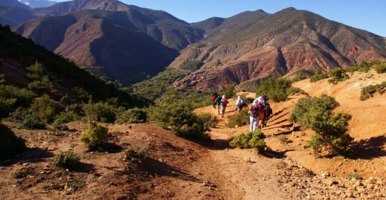 Ourika valley And Oulmes River day trip & Camel all Included - What You Get and Why It Matters