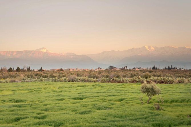 Ourika Valley : Atlas Mountains Day Trip from Marrakech - Transportation and Group Dynamics