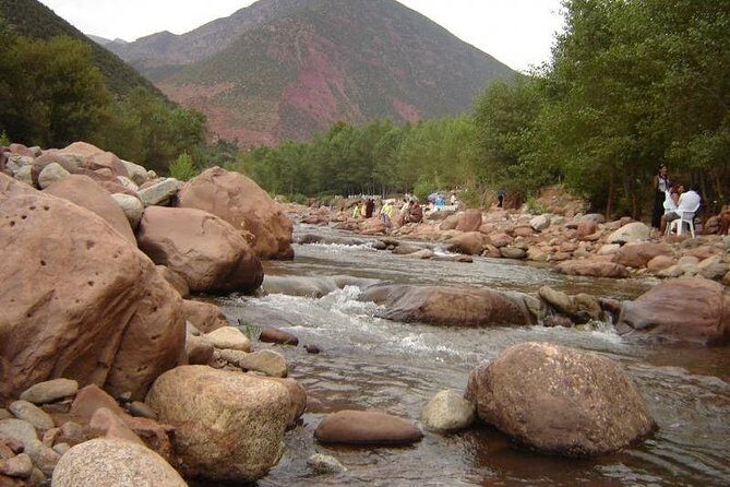 Ourika Valley: Atlas Mountains day trip from Marrakech - Transportation, Price, and Overall Value