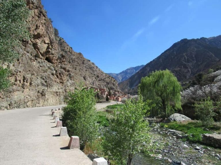 Ourika valley & atlas mountains guided tour from Marrakech - Visiting the Women’s Argan Oil Cooperative