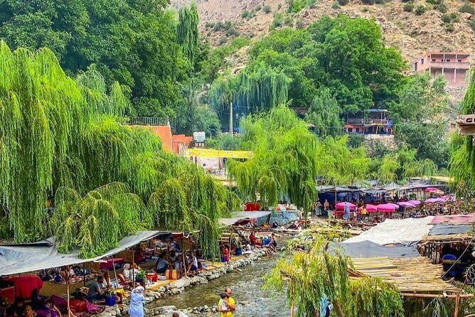 Ourika Valley Day Tour from Marrakech - Why This Tour Offers Good Value