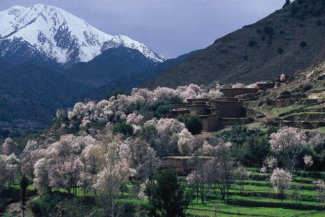 Ourika valley day trip - Who Will Enjoy This Tour?