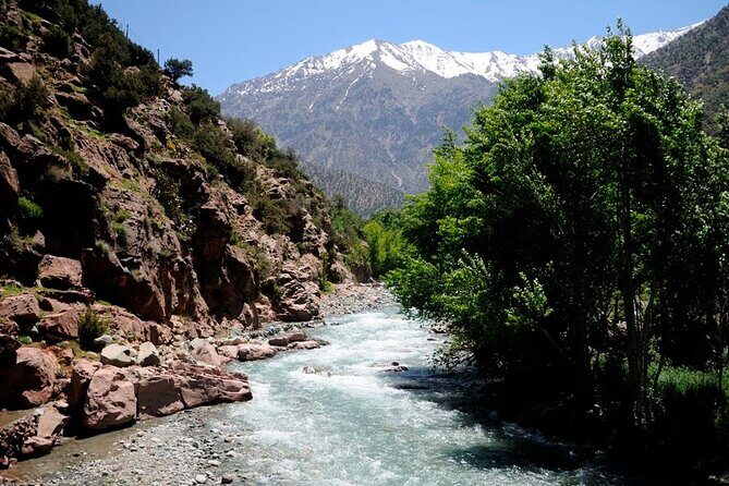 Ourika Valley Day Trip From Marrakech - The Experience: What You Can Expect