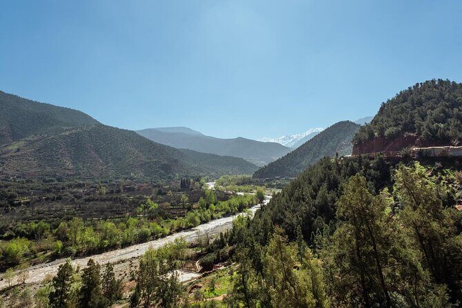 Ourika Valley Day Trip from Marrakech with Groups - Who Should Consider This Tour?