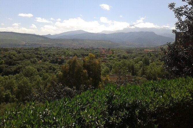 Ourika Valley Day trip Marrakech Morocco - The Sum Up: Is This Tour Worth It?