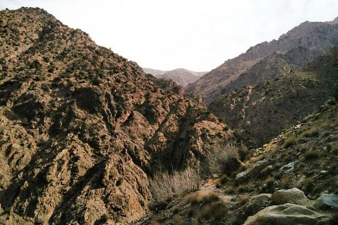 Ourika Valley Full Day Trip from Marrakech - The Transport and Group Size