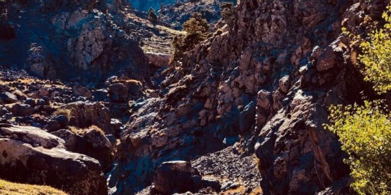 Ourika Valley: Quad Biking,Camel Riding,and Hiking Adventure - The Breakdown of the Itinerary