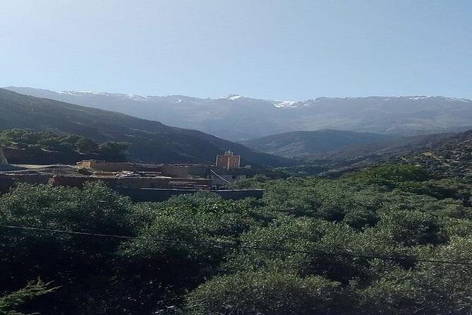 Ourika Valleys & Berber Villages and WATERFALLS Excursion - Authentic Experiences and Traveler Feedback