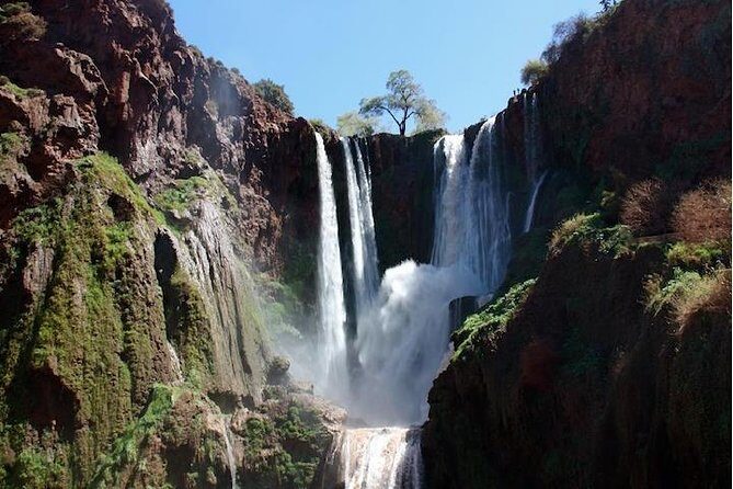 Ouzoud Waterfall Day Trip From Marrakech - Authenticity and Traveler Feedback