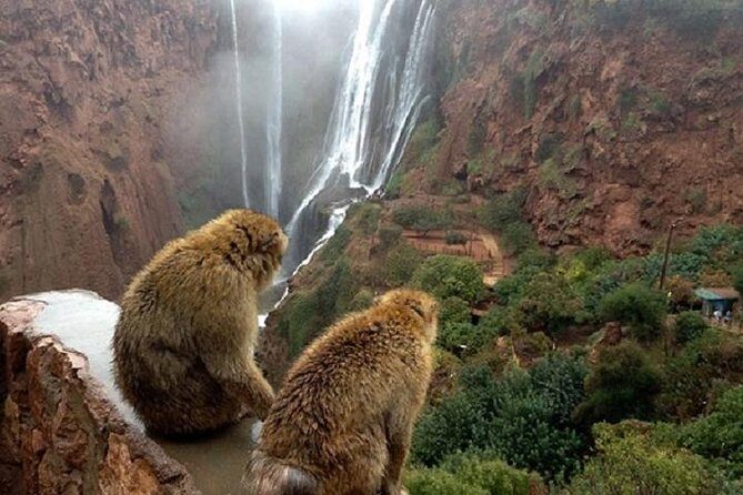 Ouzoud WaterFalls - The Sum Up