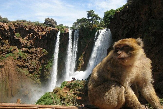 Ouzoud Waterfalls Day Trip & guided hike &boat trip - The Itinerary in Detail: What to Expect