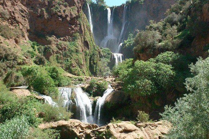 Ouzoud Waterfalls Shared Group Day Trip from Marrakech - Price, Value, and Optional Extras