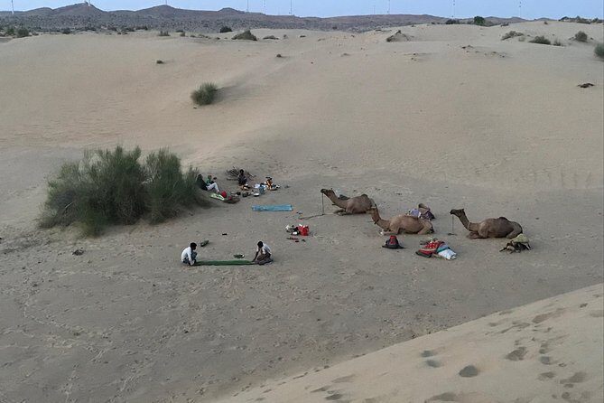 Over Nights Camel Safari Non Touristic 02:30PM - Who Is This Tour Best For?