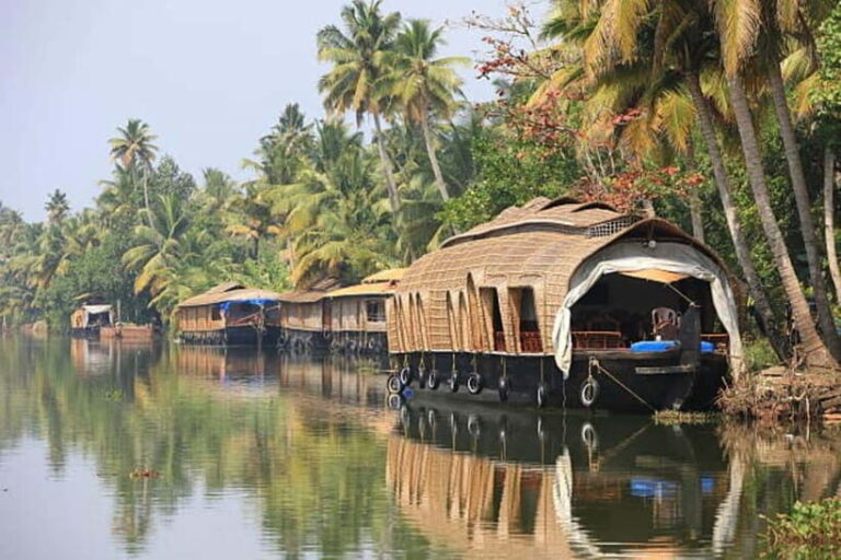 Overnight Alleppey Houseboat Cruise Tour (Kerala Beauty) - Deep Dive into the Itinerary and Experience