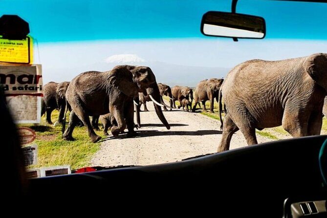 Overnight Amboseli National Park Safari from Nairobi - The Itinerary in Detail