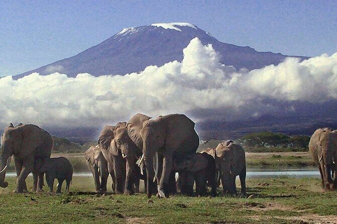 Overnight Amboseli National Park Safari - Authentic Encounters and Guide Expertise