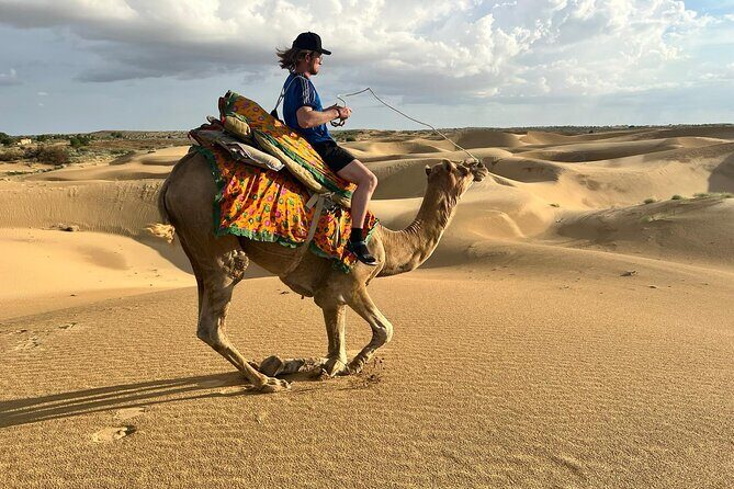 Overnight Camel Safari in Thar Desert - An In-Depth Look at the Thar Desert Overnight Safari
