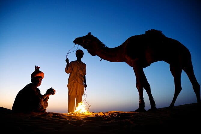 Overnight Camel Safari Tour - The Itinerary: A Step-by-Step Breakdown