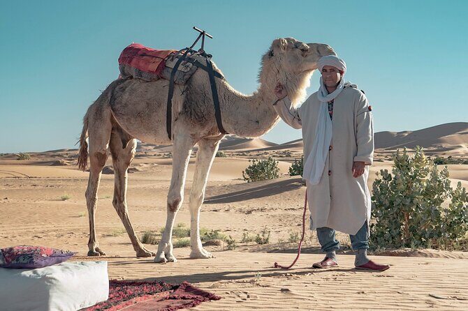 Overnight Camel trekking in Merzouga - The Value and Practicalities
