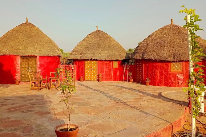 Overnight Desert Stay with Camel Safari and Homemade Food - OM - Early Morning and the Camel Safari