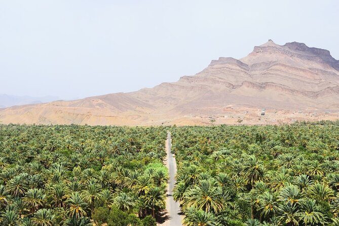 Overnight Desert Tour from Marrakech to Zagora - Exploring Ait-Ben-Haddou: Morocco’s Movie Set