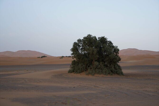 Overnight Desert Tours from Fez to Fez - Reaching Merzouga: The Gateway to Sahara