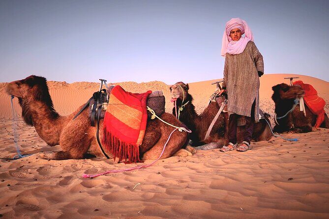Overnight Experience from Merzouga in Dunes of Erg Chebbi - Camel Ride and Dunes