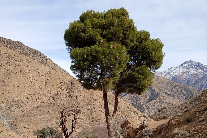 Overnight in a Berber village in the heart of the Atlas Mountains - Who Will Love This Tour?