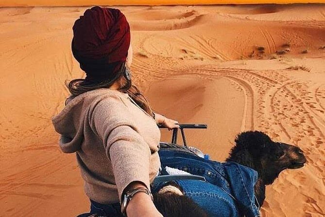 Overnight Luxury Desert Trip Form Fez To Fez - What to Expect in Terms of Pricing and Value