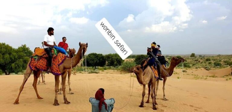 Overnight Luxury Safari by Wonbin Safari - What This Tour Means for You