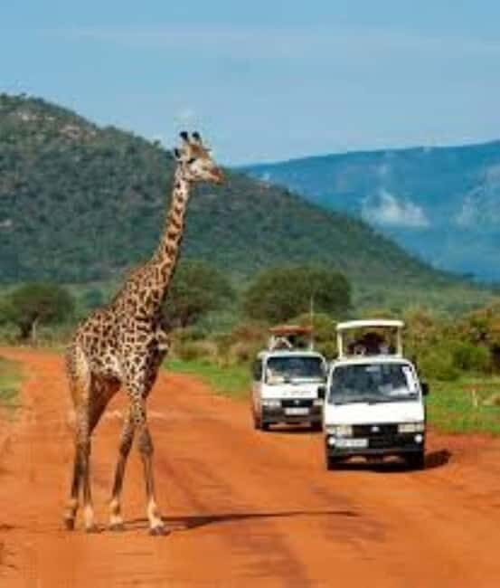 Overnight Private Safari to Severin Camp from Mombasa - The Itinerary in Detail