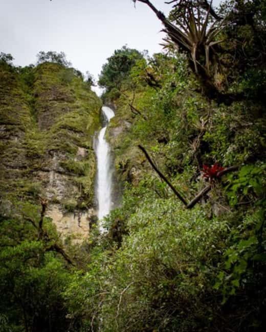Overnight Safari to Aberdare National park from Nairobi - A Detailed Look at the Safari Experience