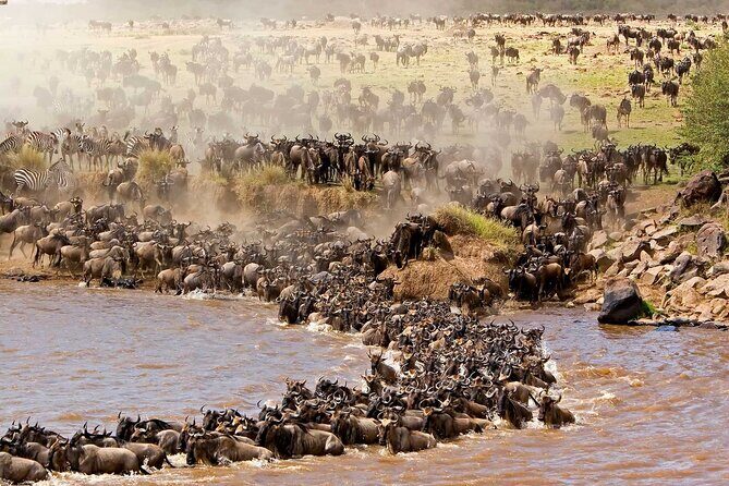 Overnight Safari To Maasai Mara - Wildlife Encounters and Highlights