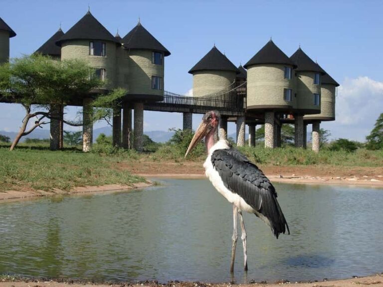 Overnight Safari to Saltlick Safari Lodge from Mombasa/Diani - The Journey & Experience