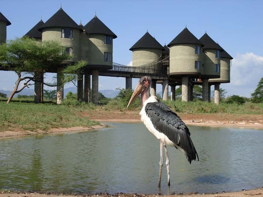 Overnight Safari to Saltlick Safari Lodge from Mombasa/Diani - The Journey & Experience